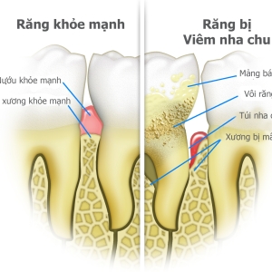 nha-chu-nha-khoa-cong-nghe-cao